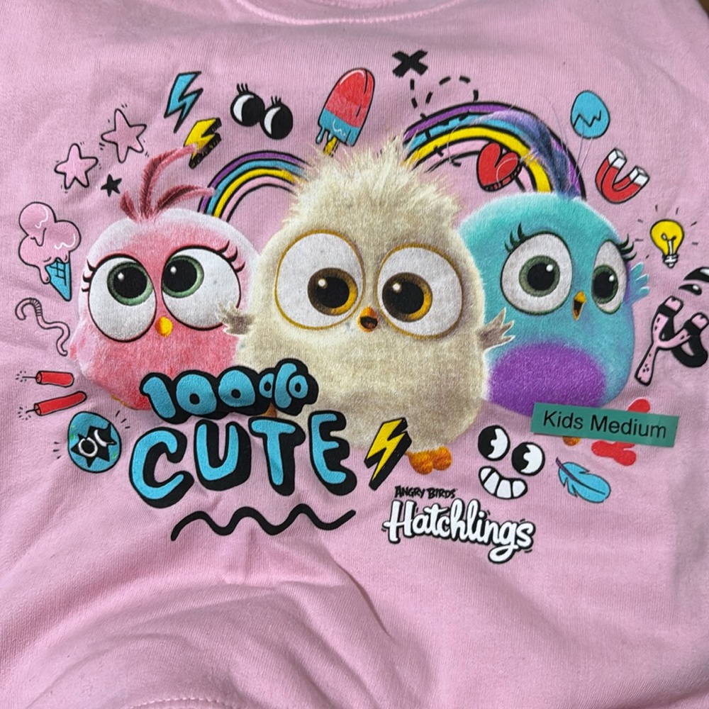 Angry birds hatchlingsthings sweat shirt - kids size M 5-6